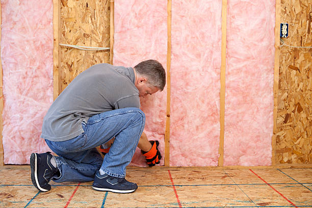 Best Commercial Insulation in Paul, ID